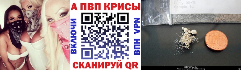 A PVP СК Кисловодск