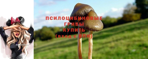 скорость Горнозаводск