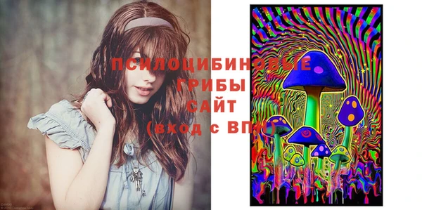 скорость Горнозаводск