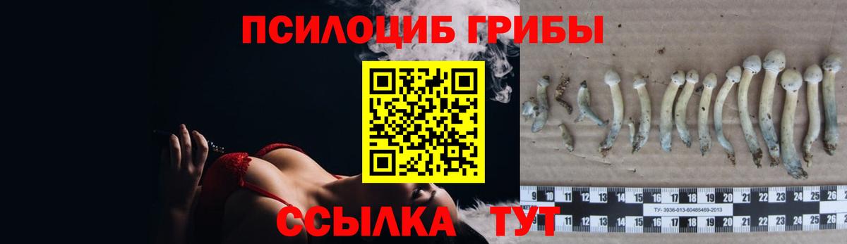 Кисловодск  Псилоцибиновые грибы Magic Shrooms  Вход с VPN 