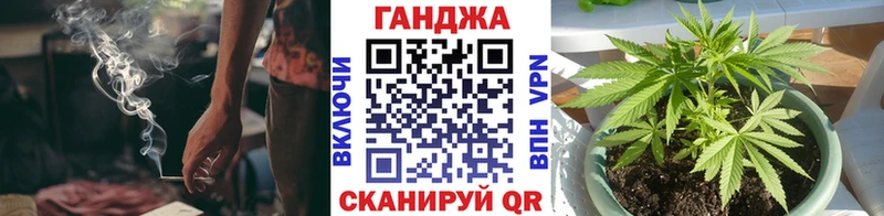 Бошки Шишки OG Kush  цены   Кисловодск 